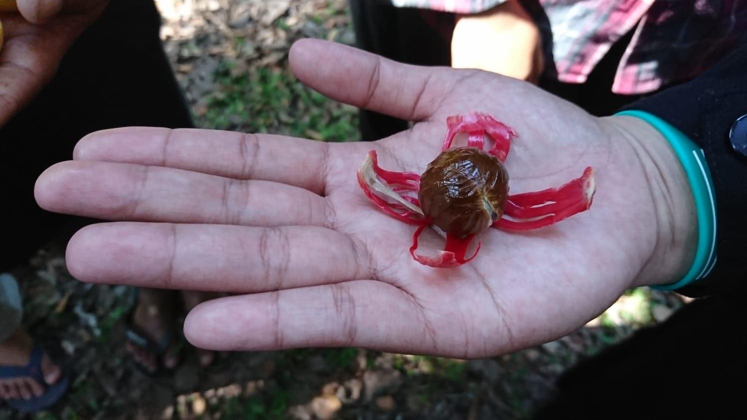 KARANGAN LAUT SEHAT 3.jpg