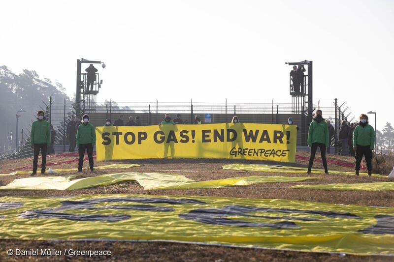 greenpeace jerman
