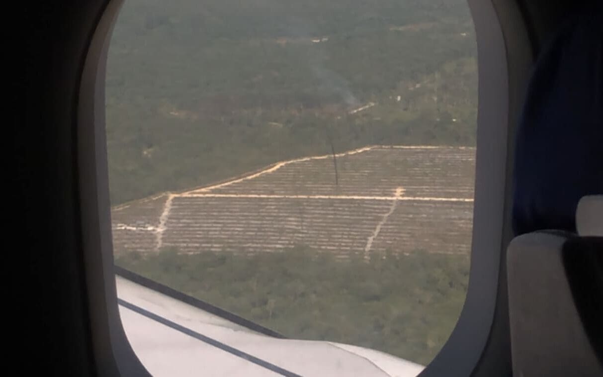 Kebun sawit pulau belitung