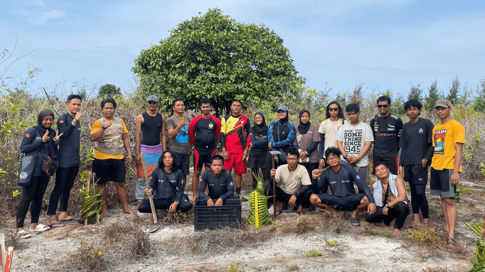mdc undip penanaman cemara laut
