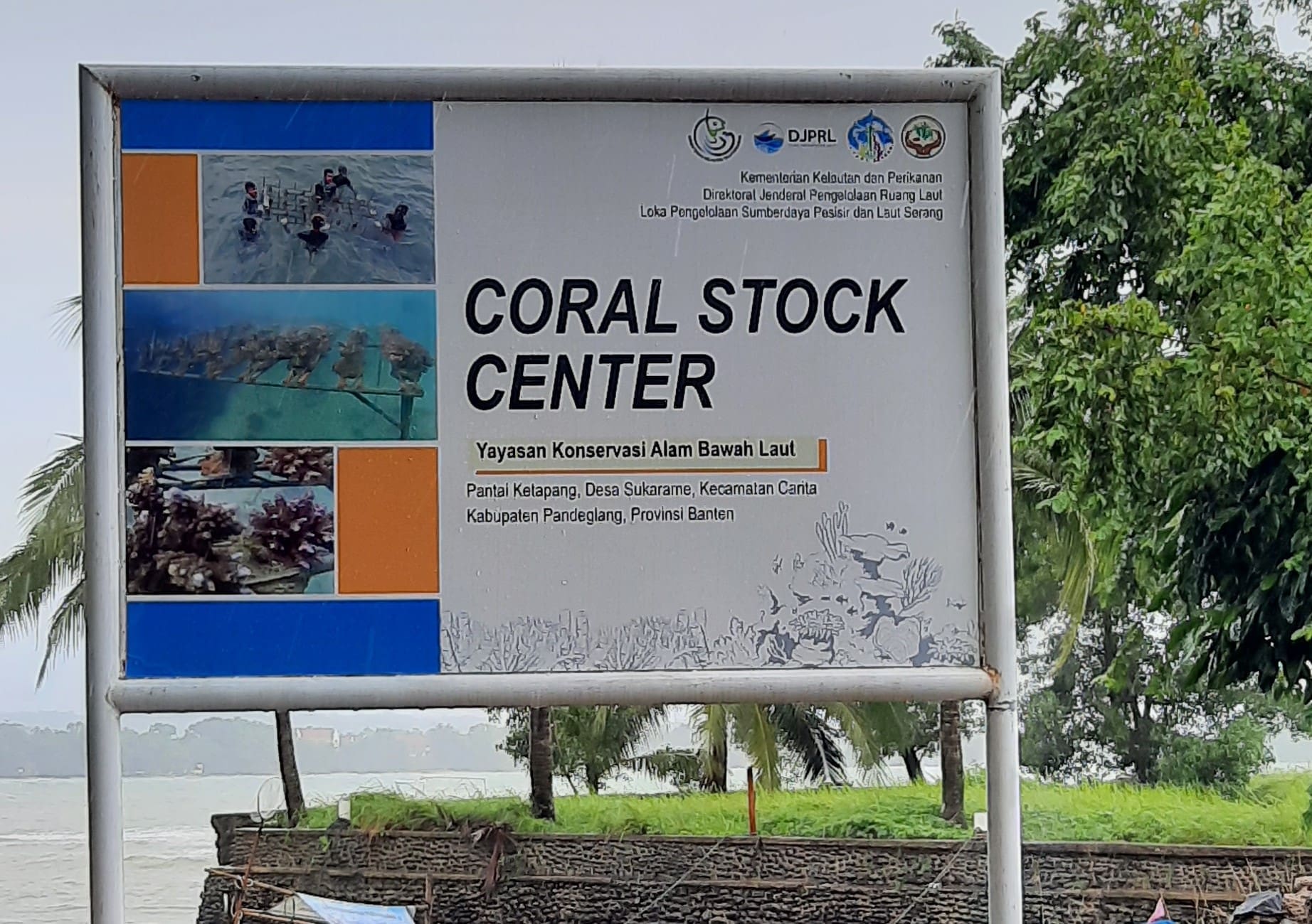 Papan Nama Coral Stock Center